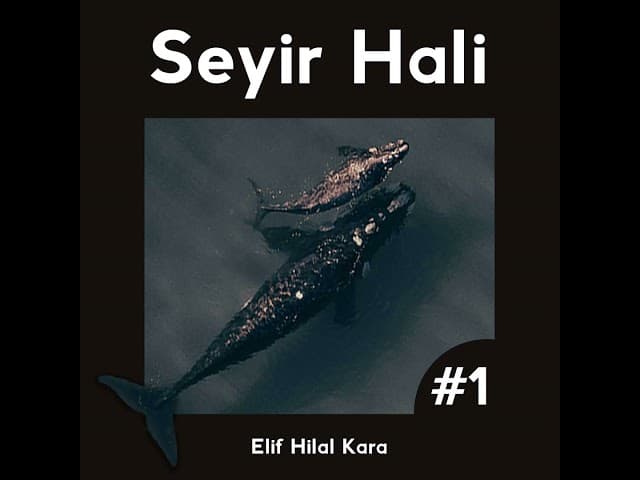 1 - Balinanın sütü, dudağımızın çukuru ve biz kimiz sorusu üzerine bir tefekkür